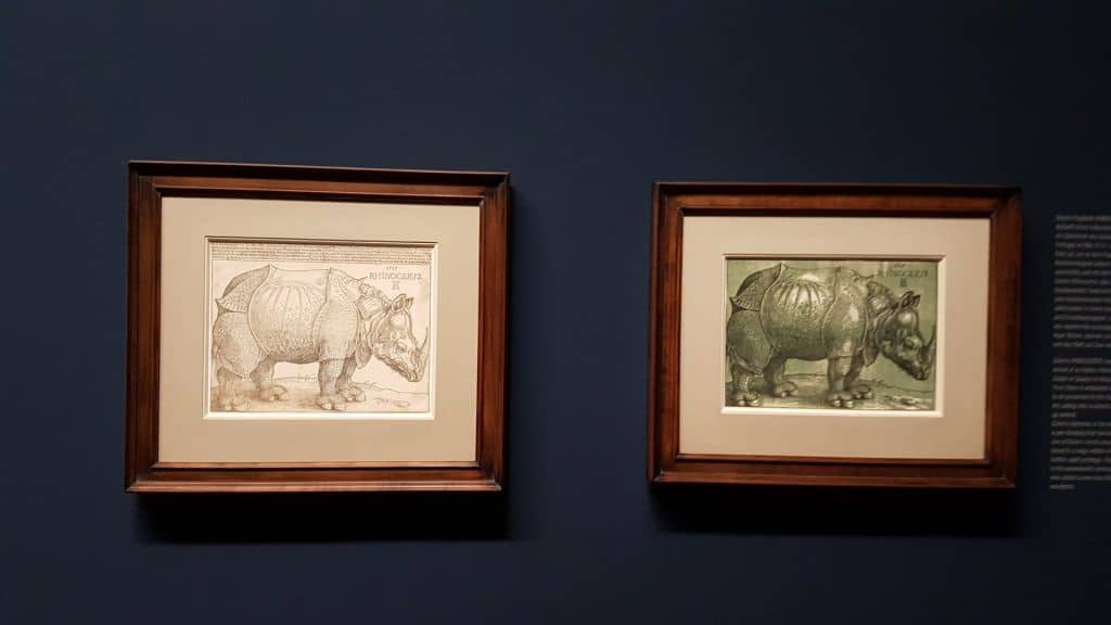 Albrecht Dürer's drawing of "Rhinoceros" and the drawing engraving at the Albertina exhibition in Vienna. Photo: Art with me! e.U., 2019